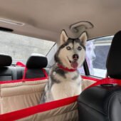 Суцільний автогамак, беж + червоний