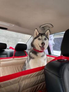 097ED3C8-CD5E-4153-9E7D-95CB03A15D09 Суцільний автогамак, беж + червоний