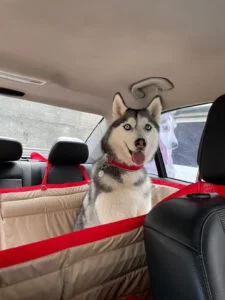 Суцільний автогамак, беж + червоний