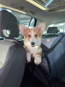 Половинка автогамака, сірий + чорний