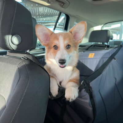 Половинка автогамака, сірий + чорний