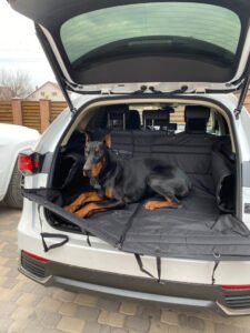 Автогамак трансформер, чорний + чорний