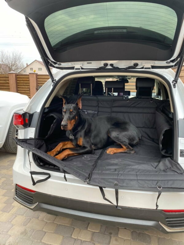 6BAC4C56-7D79-40BB-987C-F4BE08014A43 Автогамак трансформер, чорний + чорний