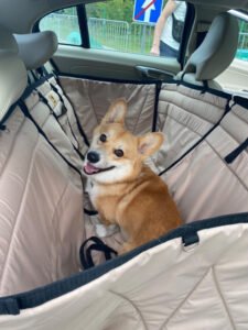 Автогамак трансформер, беж + чорний