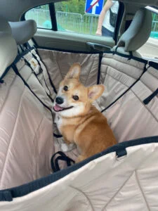 70B12D9F-FEBB-4B31-B447-27CB3EACE962 Автогамак трансформер, беж + чорний