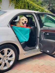 Автогамак на переднє сидіння, аквамарин + помаранч