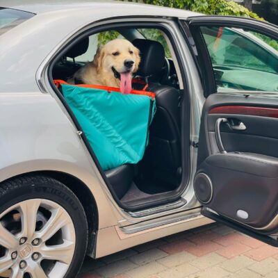 Автогамак на переднє сидіння, аквамарин + помаранч