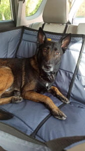 Суцільний автогамак, сірий + чорний