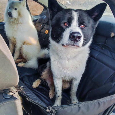 9C489EEC-B708-44EB-B1C9-26AB98966B98 Автогамак трансформер, чорний + чорний