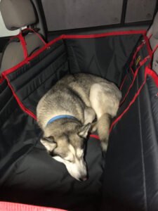 Автогамак трансформер, чорний + червоний