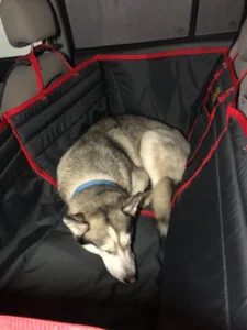 Автогамак трансформер, чорний + червоний