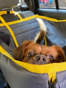 Половинка автогамака, сірий + жовтий