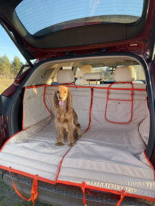 Автогамак для транспортування тварин в авто