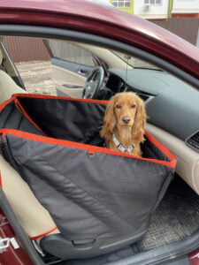 Автогамак для транспортування тварин в авто