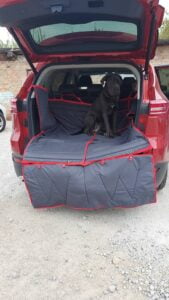 захист бампера