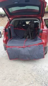 захист бампера