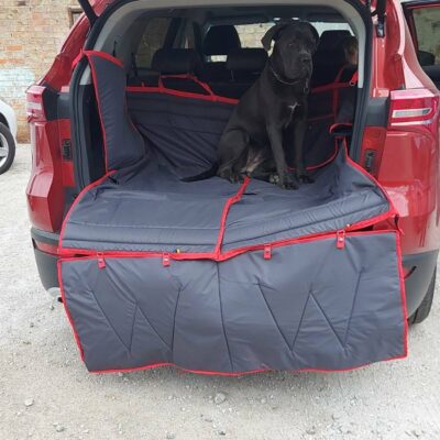 IMG_1963 захист бампера