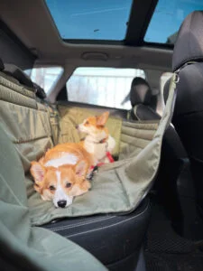 Автогамак трансформер, хакі + хакі