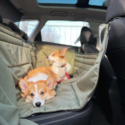 IMG_3906 Автогамак трансформер, хакі + хакі