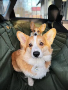 Автогамак трансформер, хакі + хакі