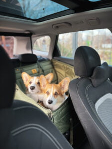 Половинка автогамака, хакі + хакі