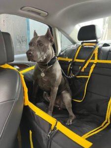 Автогамак трансформер, чорний + жовтий