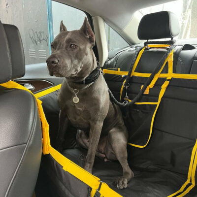 0AC40A1A-5F26-49F3-9781-56DC49D46C91 Автогамак трансформер, чорний + жовтий