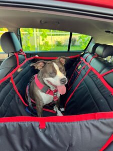 Автогамак трансформер, чорний + червоний