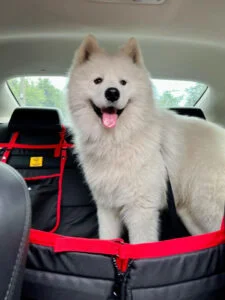 Автогамак трансформер, чорний + червоний