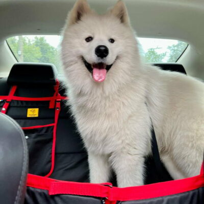 6A788661-E445-4367-BC93-F34B3D2DFCBA Суцільний автогамак, чорний + червоний