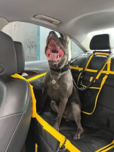 Автогамак трансформер, чорний + жовтий