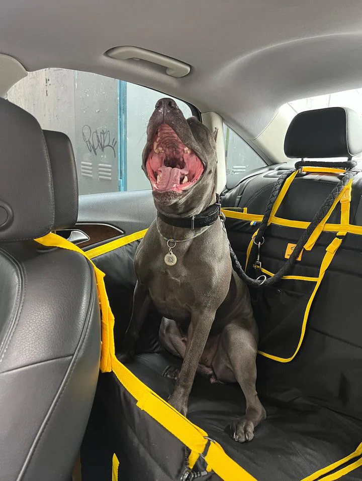 Автогамак трансформер, чорний + жовтий - Зображення 3