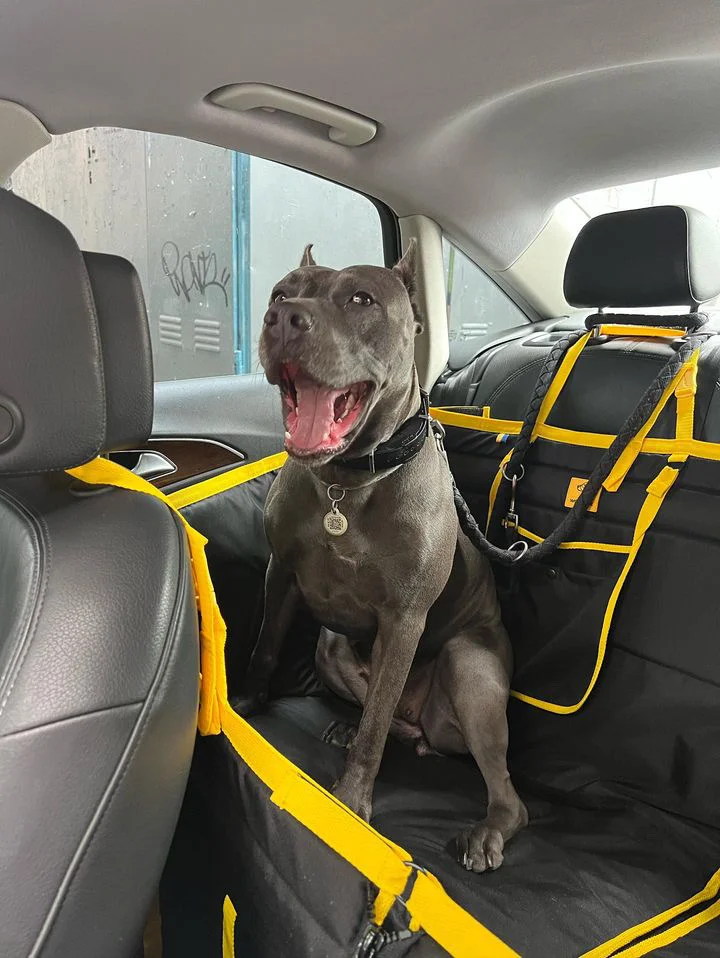 Автогамак трансформер, чорний + жовтий - Зображення 4