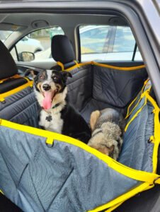 Автогамак трансформер, сірий + жовтий