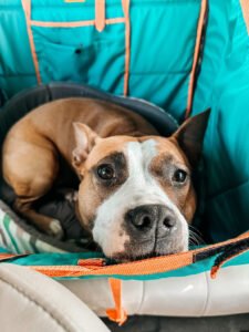 Автогамак трансформер, аквамарин + помаранчевий