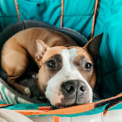 Автогамак трансформер, аквамарин + помаранчевий