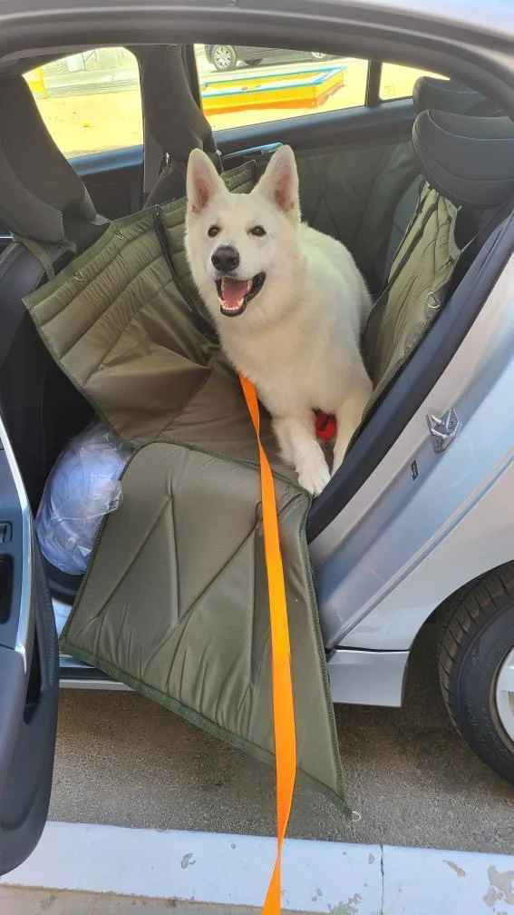 Автогамак для транспортування тварин в авто від WOOFRIDE