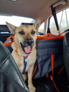 Половинка автогамака, сірий + помаранч