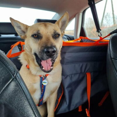 Половинка автогамака, сірий + помаранч