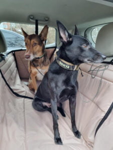 Суцільний автогамак, беж + чорний