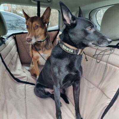 8B5E3BBA-8E90-4978-B714-C8E087F307B9 Суцільний автогамак, беж + чорний