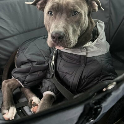 Автогамак трансформер, сірий + чорний