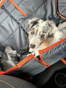 Автогамак трансформер, сірий + помаранч