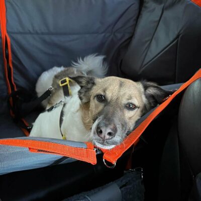 Автогамак трансформер, сірий + помаранч