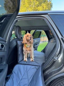 автогамак з твердою основою