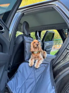 автогамак з твердою основою