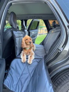 автогамак з твердою основою