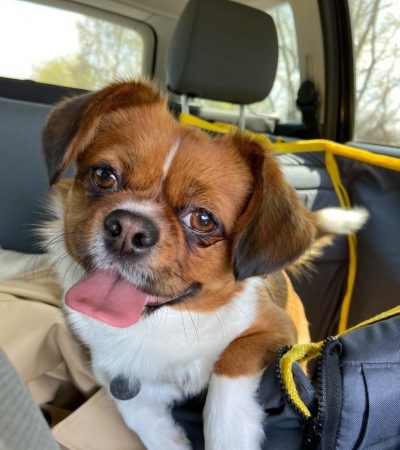 4CC5F78F-2A90-4471-BDF7-008CF8E3E4A3