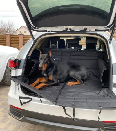 Автогамак для транспортування тварин в авто