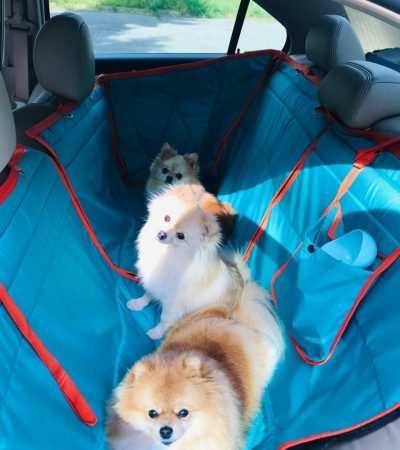 Автогамак для транспортування тварин в авто від WOOFRIDE